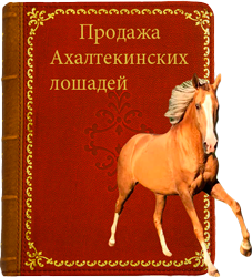 Продажа ахалтекинских лошадей